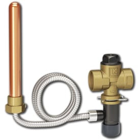 519 ThermoSafe Rp¾"xG½" 97°C 1,3m