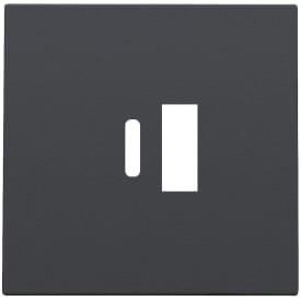Afdækning USB-A+C oplader, antracit