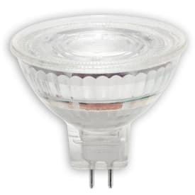 TU LED GU5,3 12V Precise 8W, C930, 621 lumen, 35°