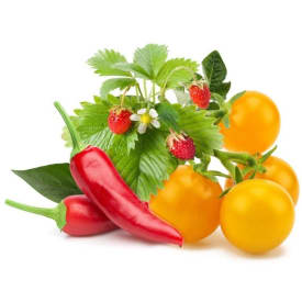 Click and Grow frukt- og grønnsaksmiks - 9 stk