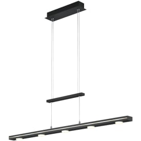 Trio Lighting Lacal pendellampa