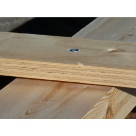 Justerskrue 6,0 x 110 mm, FZB, TX25, UH, 100 stk.