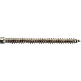 Expandet karmskrue u/hoved 7,5 x 112mm A2, TX30, 100stk.