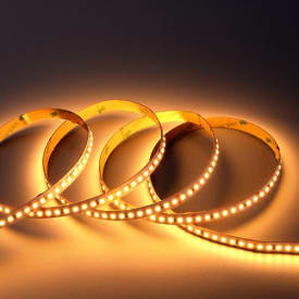 P-Cell 50M Strip 24V IP20 4,8W/922 480lm/m b:10mm klip:50mm