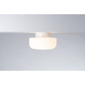 Loft- og væg Solenne 250/155 DALI LED 10W 3000K, hvid, mat opal
