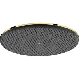 Hansgrohe Raindance Alive S takdusj, Ø30 cm, gull