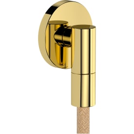 Hansgrohe FixFit Fine S slangeuttak, polert guld