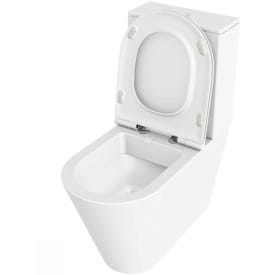 Lavabo Forma toalett, back-to-wall, utan spolkant, matt vit