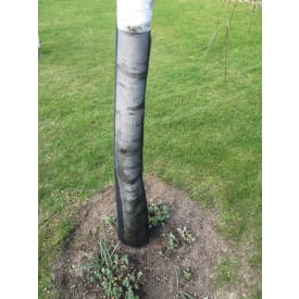 Treeflex træbeskyttelsesnet, sort, 150 x 1100 mm, 5 stk.