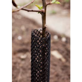 Treeguard trädskyddsnät, svart, 62 x 600 mm