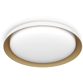 Philips Pebblo plafond, 4000K, hvid