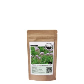 Blomsterfrø hjortetrøst 5m²