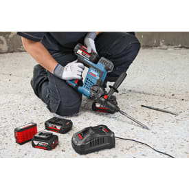 BOSCH 1600A00L1M