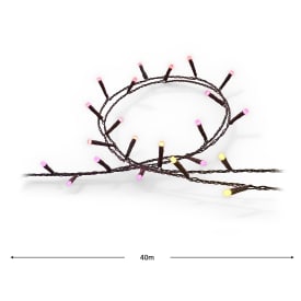 Hue Festavia String Lights 500LED 2000-6500 Kelvin RGB