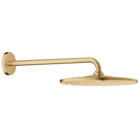 Grohe Rainshower Mono brusehoved, Ø31 cm, vandbesparende, børstet messing