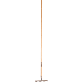 Galax rive, 10-tann/25,2 cm