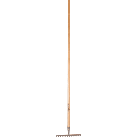 Galax kratta, 12-tand/30,5 cm