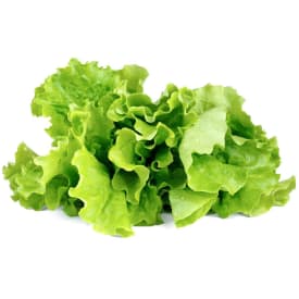 Click and Grow Grøn salat, 3-pak