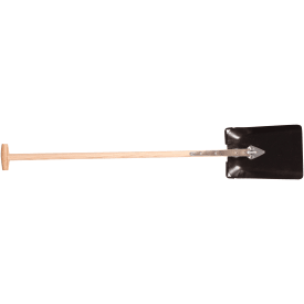 Galax spade