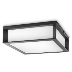Philips myGarden Skies udendørs loftlampe, antracit