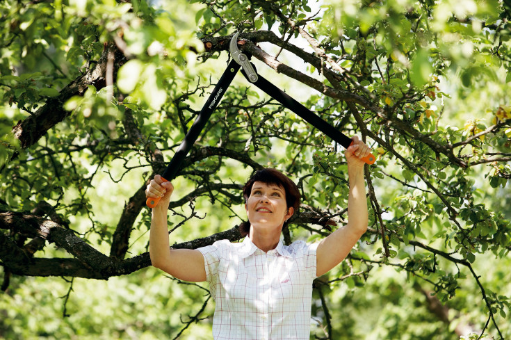 Fiskars Grensax 70cm