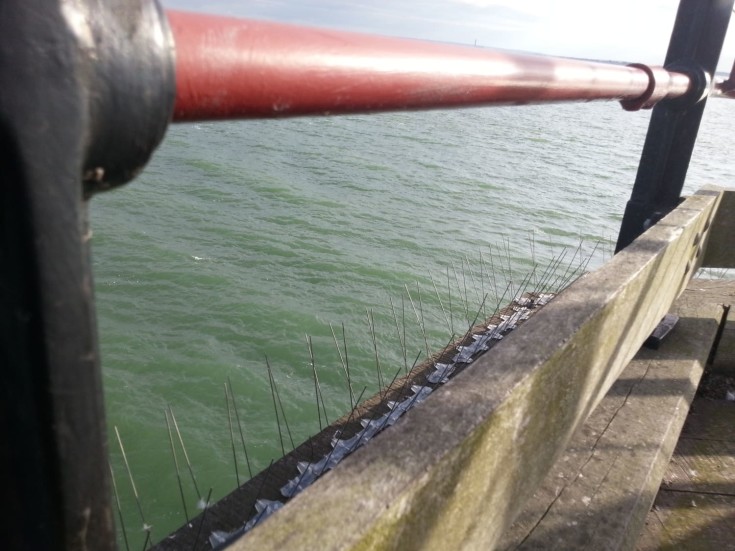 Duesikring 5 meter - 4 rekker duepigger