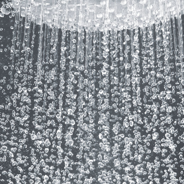 Grohe Euphoria Cosmopolitan brusehoved, Ø16 cm, krom