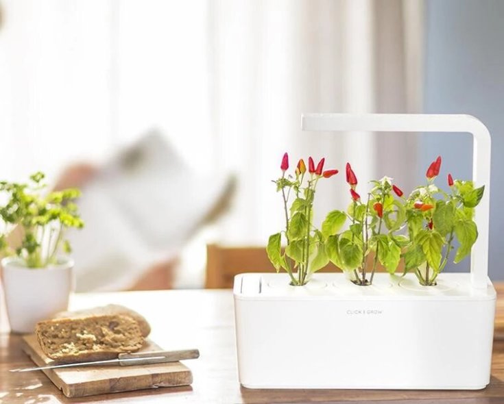 Click and Grow røde chili peber - 3 stk