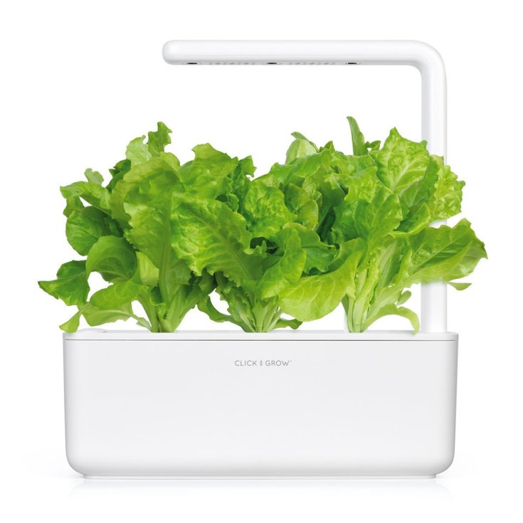 Click and Grow grøn salat - 3 stk