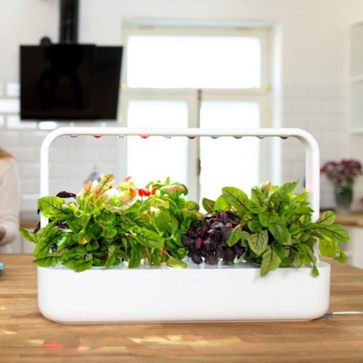Click and Grow Smart Garden startsett, hvit