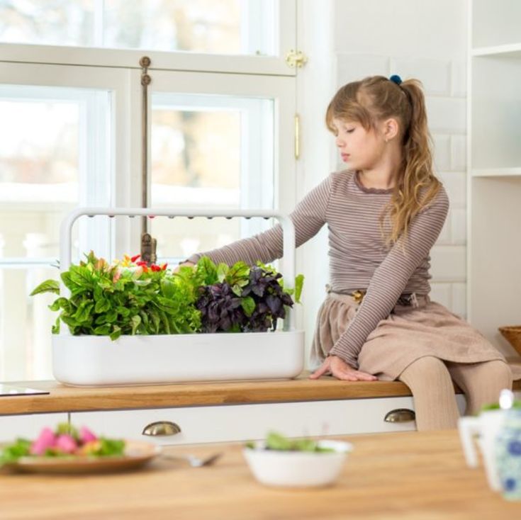 Click and Grow Smart Garden startsett, hvit