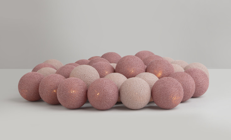 Iris Lights French Rose lyskjede, 20 kuler