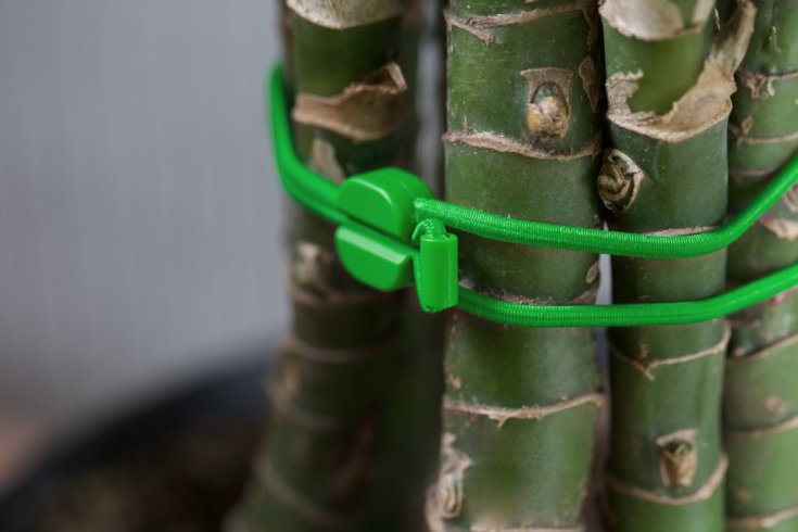 Bluelounge Pixi kabelsnor, mellom, sort/grøn, 2 stk.