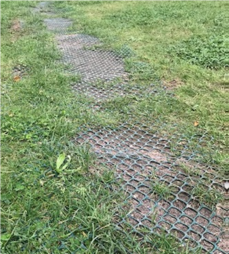 Expo-net armeringsnet, til robotplæneklipper, 0,6 x 10 meter, grøn