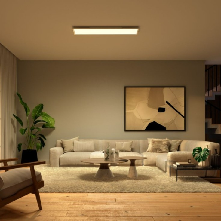Philips Hue Surimu LED panel, 30x120 cm