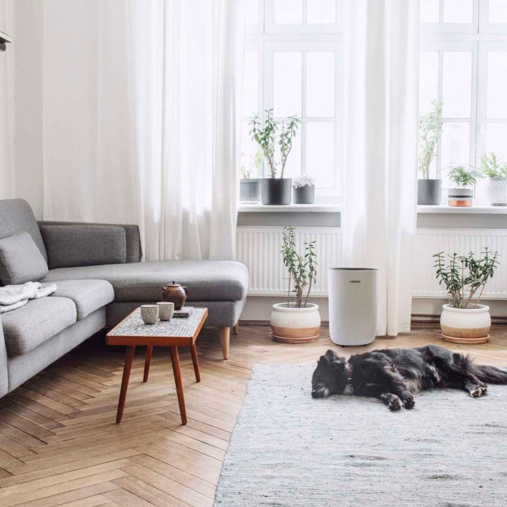 18 stk Eeese Air Care Emil avfukter, WiFi, 12 liter/døgn, 50 m²