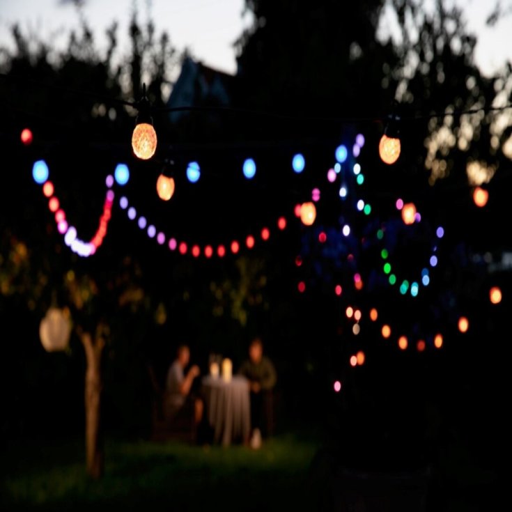 Lite bulb moments app styret udendørs lyskæde