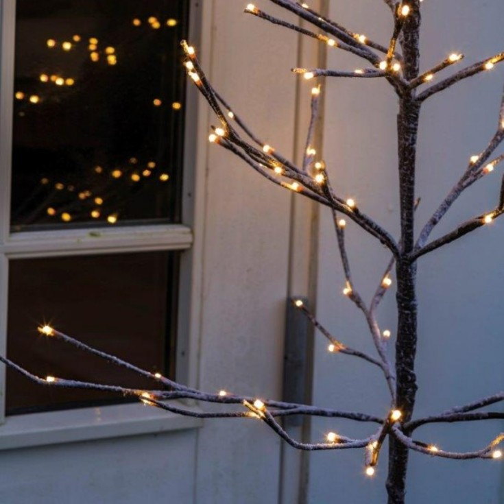 Sirius Alex lystræ, 90 cm