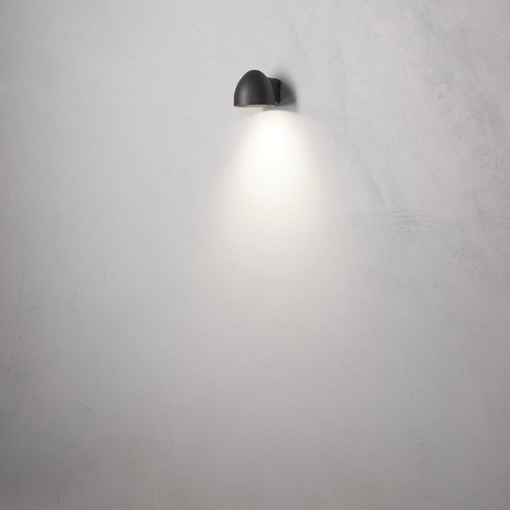 Nielsen Light Birk vägglampa utomhus, antracit