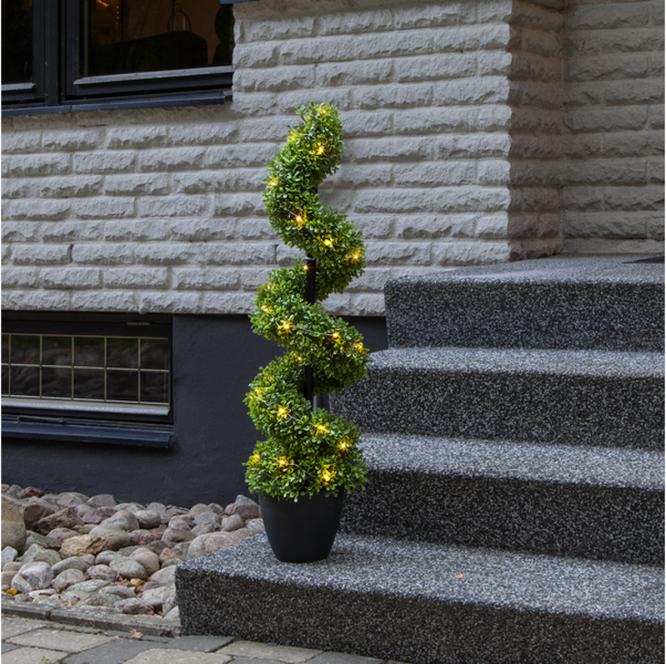 Star Trading Buxbom lystre, 90 cm