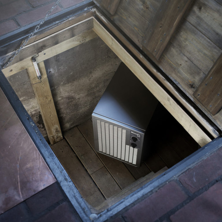 Wood's DSC50 avfukter, 8,8 liter/døgn, 60 m²