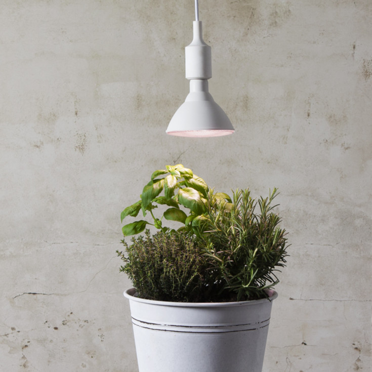 LED växtlampa (växten växer)