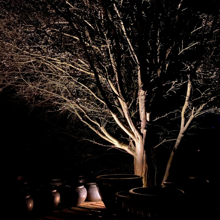 Light By Juul Juulius 3 udendørs spot