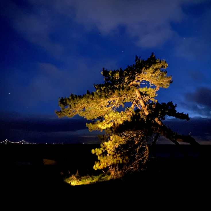 Light By Juul Juuliane udendørs spot