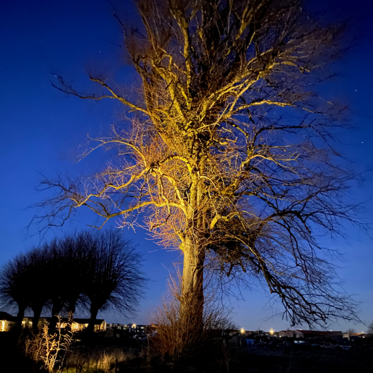 Light By Juul Juuliane udendørs spot