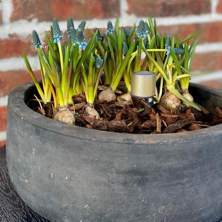 Light By Juul bedlamper med Cosmos spot, rustfrit stål