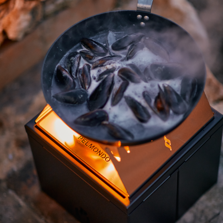 Pelmondo koge- og grillelement