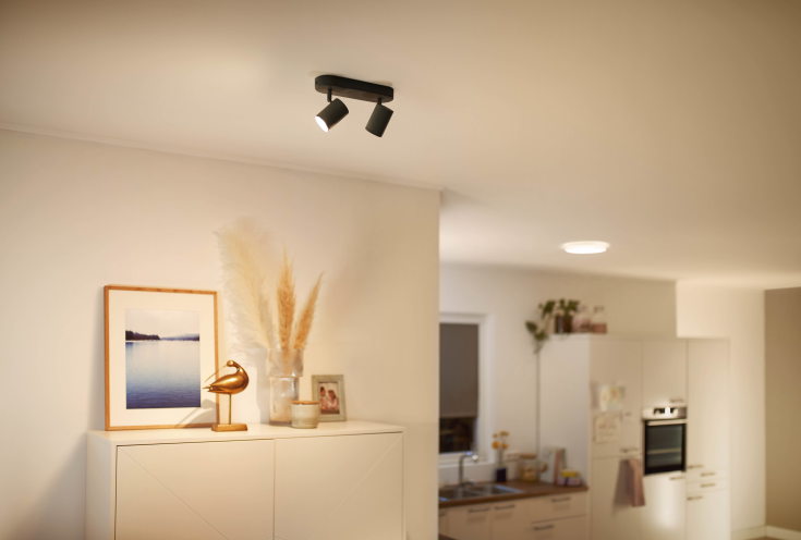 Wiz Imageo spotter i tak, justerbar hvit, sort