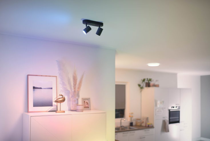 Wiz Imageo takspotlight, färgförändring + vit, svart