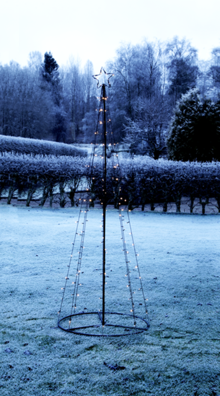 Star Trading lystræ